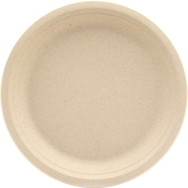 Beige biodegradable plate on a white background